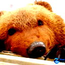 Саша Н