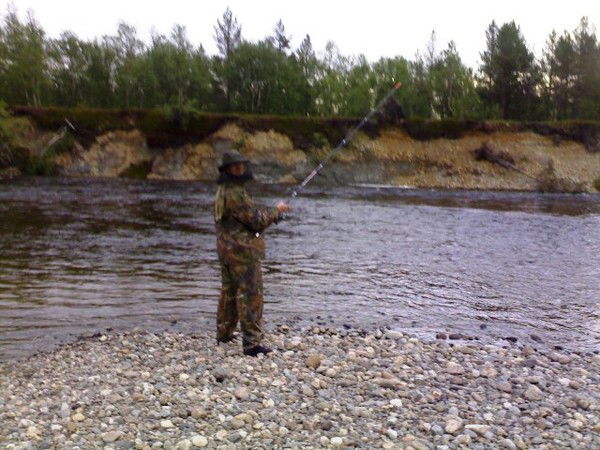 Дмитрий Богданов