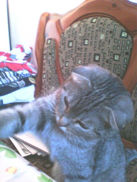 Александра Шемякина