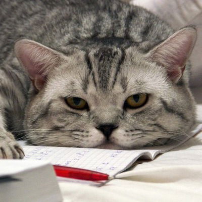 Дима Черемушкин