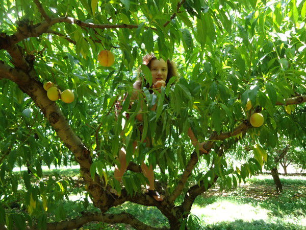 Алина Оленева