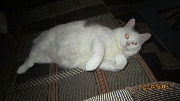 Максим Сергеевич