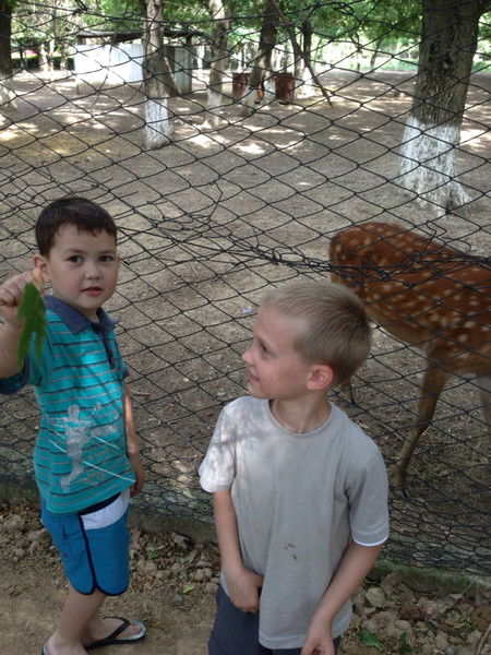 Анвар Анвар