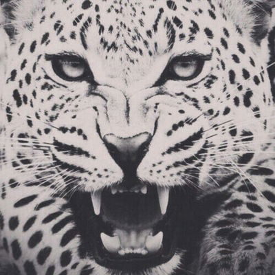 Мартина Казакова