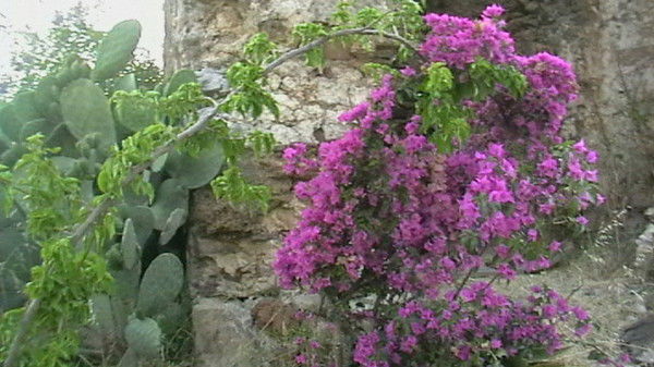 Татьяна Балыбердина