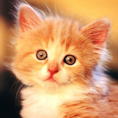 Катюха Шолохова