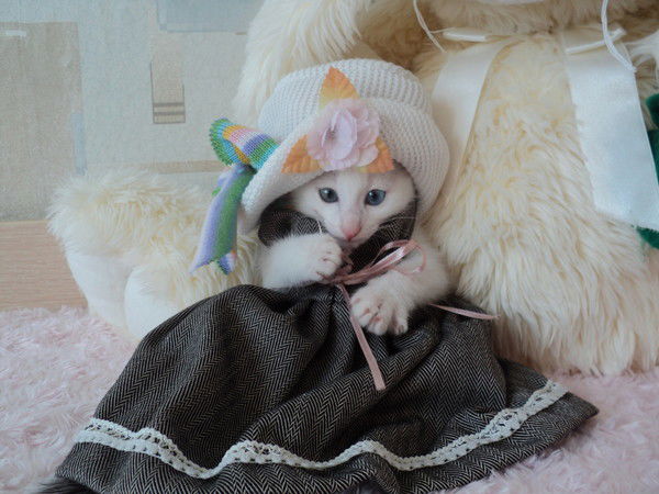 Ольга Копцова