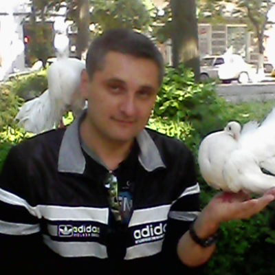 Евгений Белобров