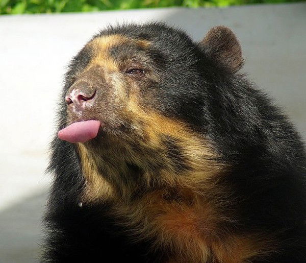 Юра Бондарь