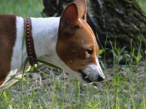 Не Все Ли Р@вно :)