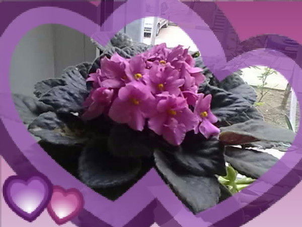 Галина Ковригина