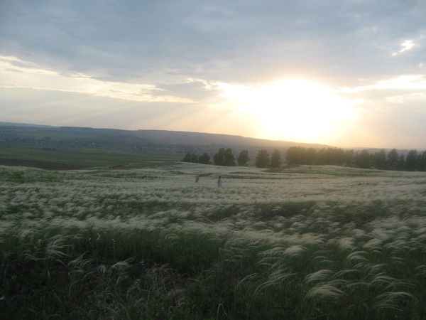 Ирина Скоробагатова