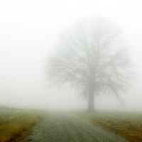 Люся Валерьева