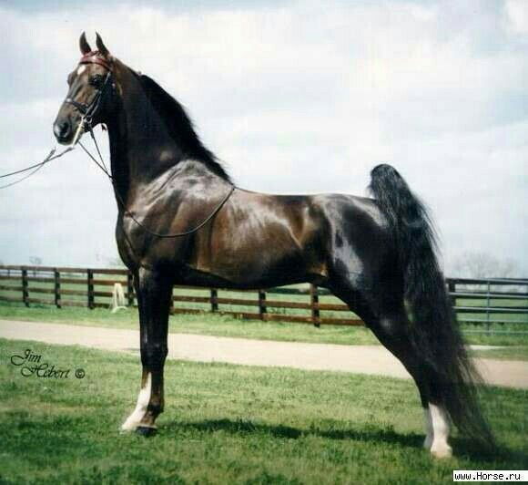 Иличбек Раймкулов