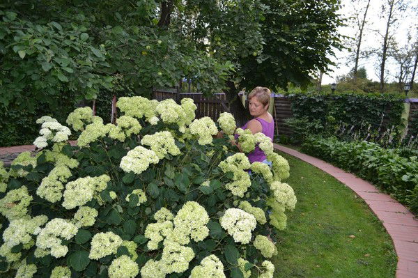 Лариса Егорова