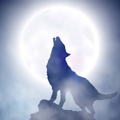 Даша Пичугина