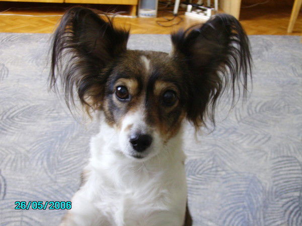 Олег Бастрыгин