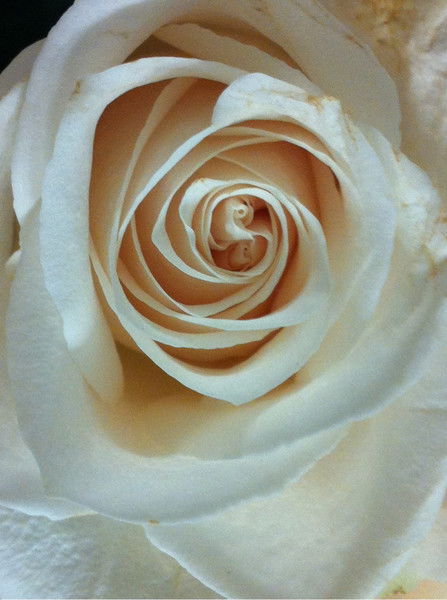 Настя Юрова