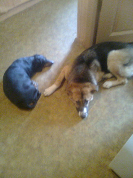 Владимир Воробьев