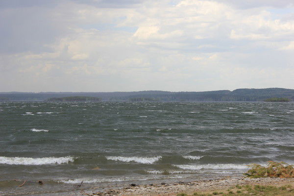 Кляузер Анастасия