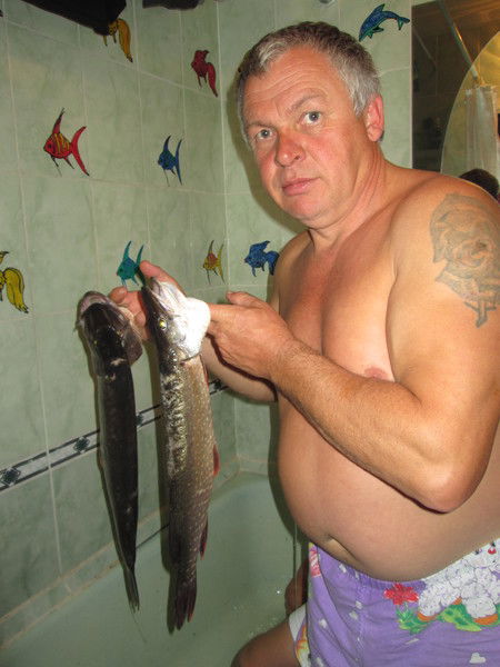 Алексей Богомолов