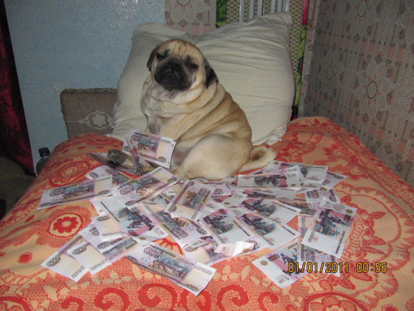 Алексей Корыстов