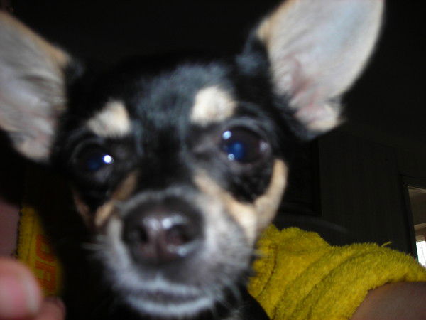 Наталья Сухова