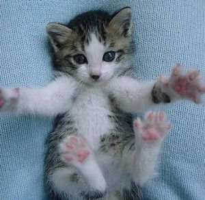 Лариса Данилюк