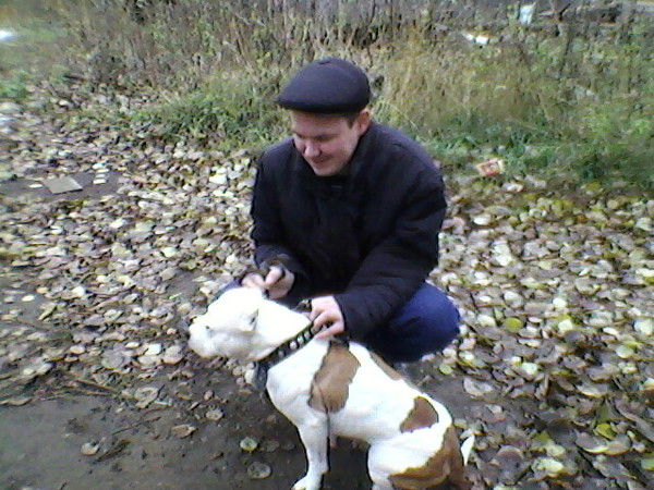 Александр Соколов