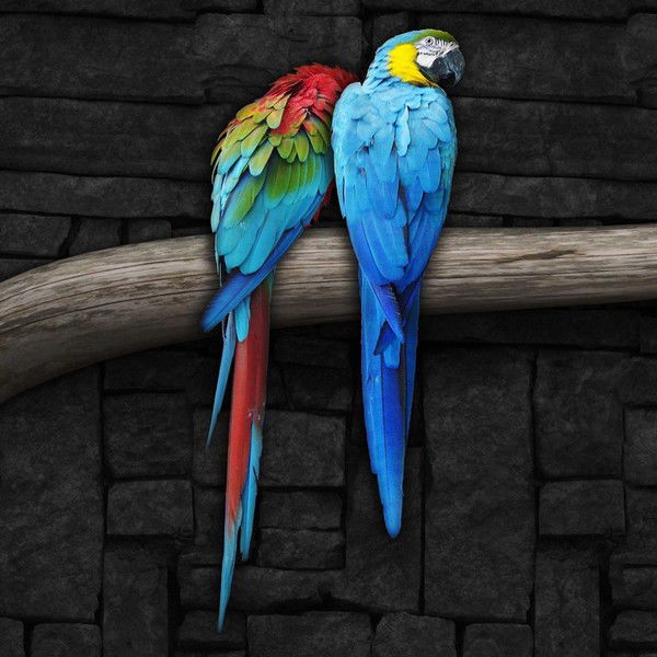 Нуржан Абилов