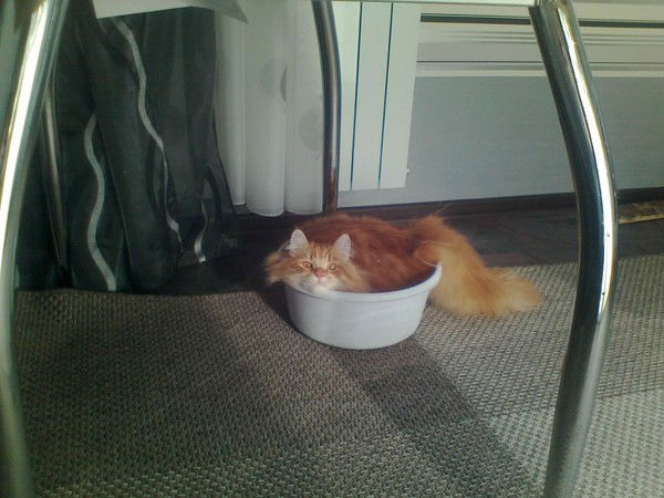 Лия Сусляева