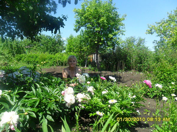 Татьяна Анищенкова