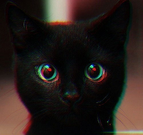 Кристина Максимова