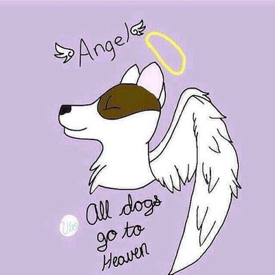 Лина Устинова