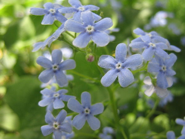 Школа Школа-Интернат№3