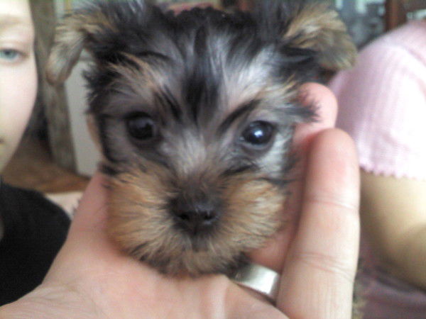 Алексей Карпов