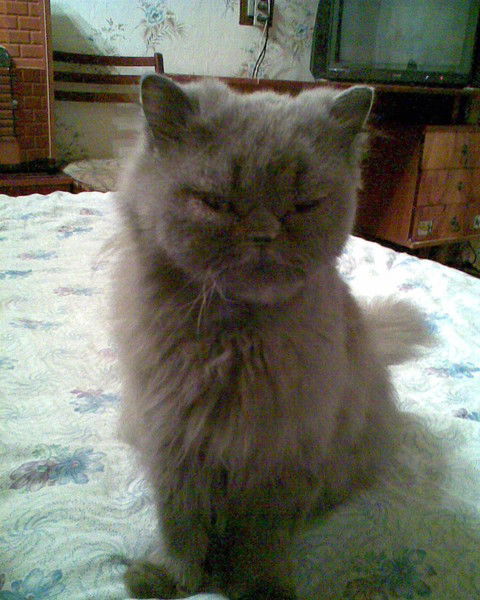 Виталий Мишунин