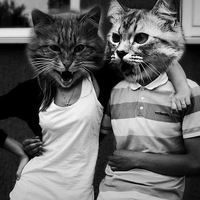 Ксения Палаус