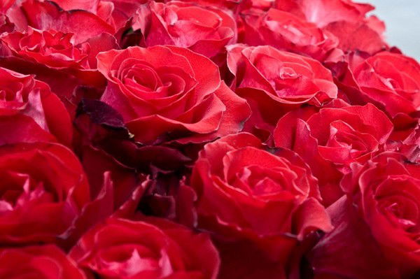 Алмагуль Джолдыбаева