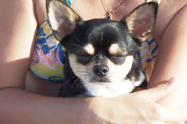 Наталья Младенцева