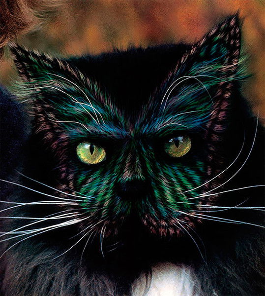 Антон Коваленко