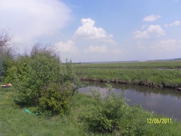 Наталья Липаткина