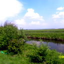 Наталья Липаткина