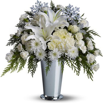 Светлана Прокофьева