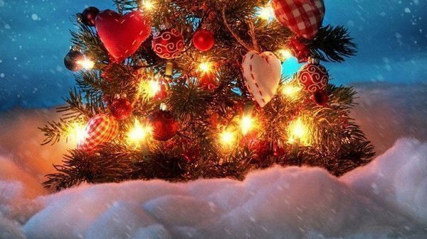 Жазира Ержанова