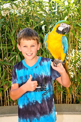 Ярослав Мелихов