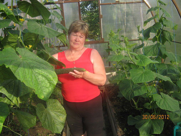 Евдокия Мохирева