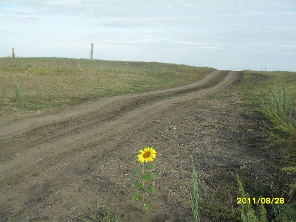 Сария Ишемгулова