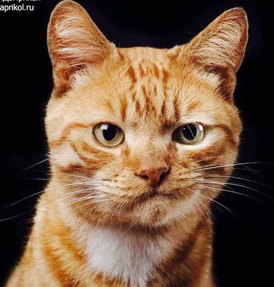 Ереке Сакиев