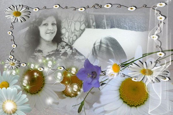 Елена Шипунова (Arndt)